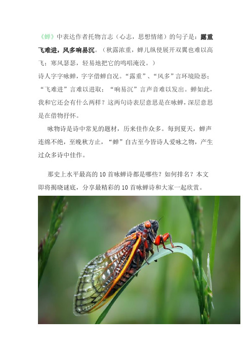 蝉一诗中托物言志的诗句是