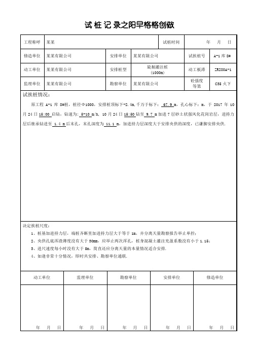 旋挖灌注桩试桩记录