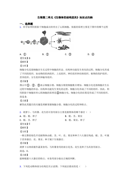 生物第二单元《生物体的结构层次》知识点归纳