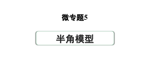 2024河南中考数学专题复习第三部分 题型二 微专题5 半角模型 课件