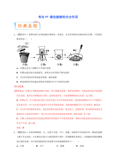 考向09 绿色植物的光合作用-备战2023年中考生物一轮复习考点微专题(解析版)