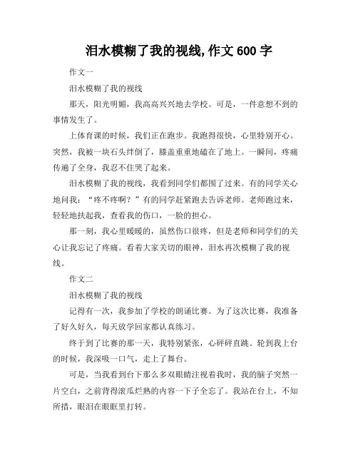 泪水模糊了我的视线,作文600字