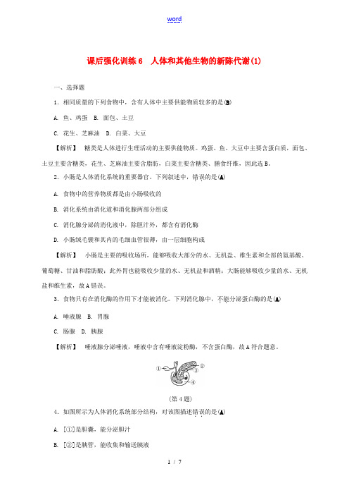 浙江省中考科学 课后强化训练6 人体和其他生物的新陈代谢(1)(含解析)-人教版初中九年级全册自然科