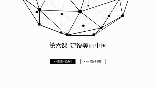 九年级道德与法治上册：第六课第一框正视发展挑战(39张PPT)