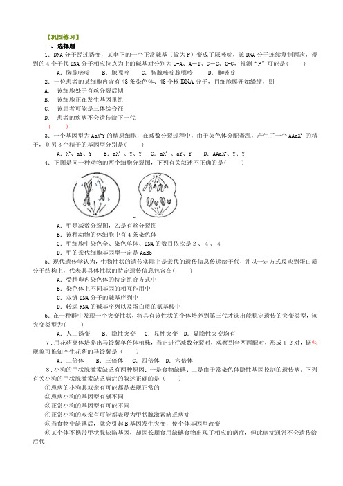 高中生物45总复习：细胞分裂与遗传变异的关系-巩固练习