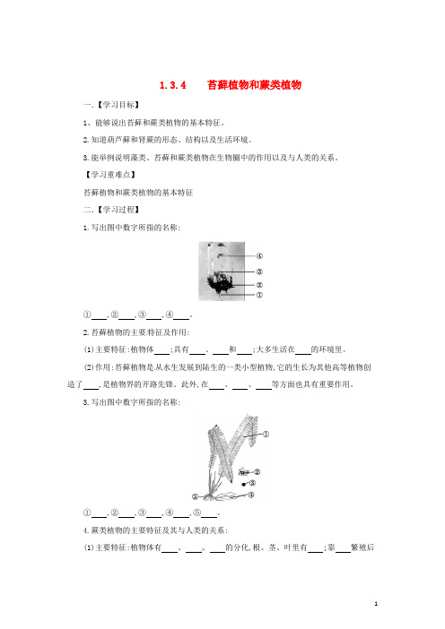 七年级生物上册 1.3.4 苔藓植物和蕨类植物导学案 (新