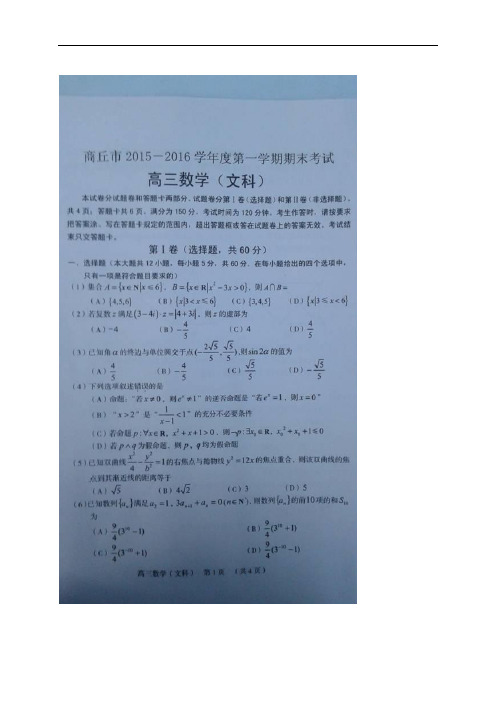 河南省商丘市1516学年度上学期高三期末考试(图片)——