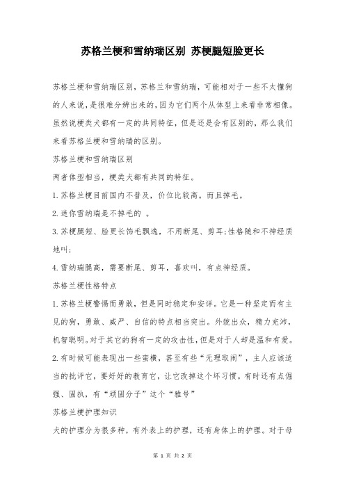 苏格兰梗和雪纳瑞区别 苏梗腿短脸更长