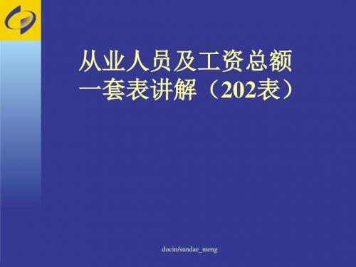 【培训课件】从业人员及工资总额 一套表讲解(202表)-PPT课件