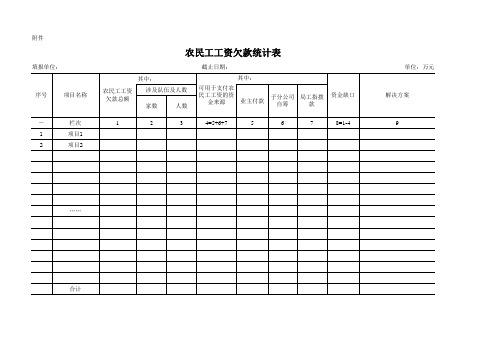 农民工工资欠付情况统计表