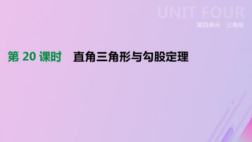 (全国)2019版中考数学复习第四单元三角形第20课时直角三角形与勾股定理课件