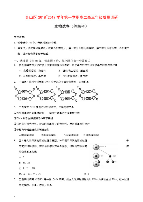 (推荐)金山区2019年秋高二高三第一学期期末(一模)学科质量检测生物试题及答案.doc