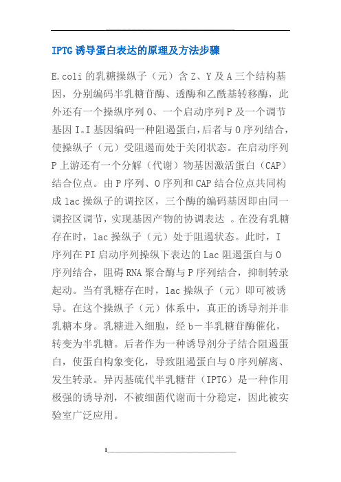 IPTG诱导蛋白表达的原理及方法步骤