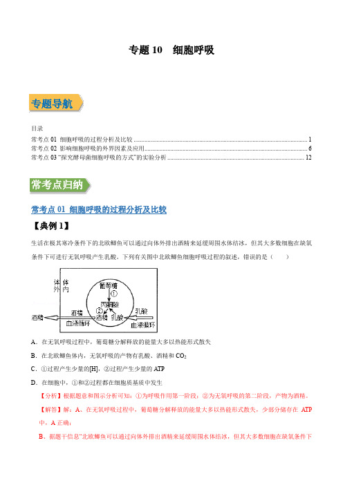 专题10 细胞呼吸(解析版)