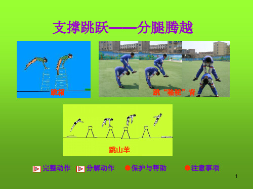 体育支撑跳跃跳山羊课件