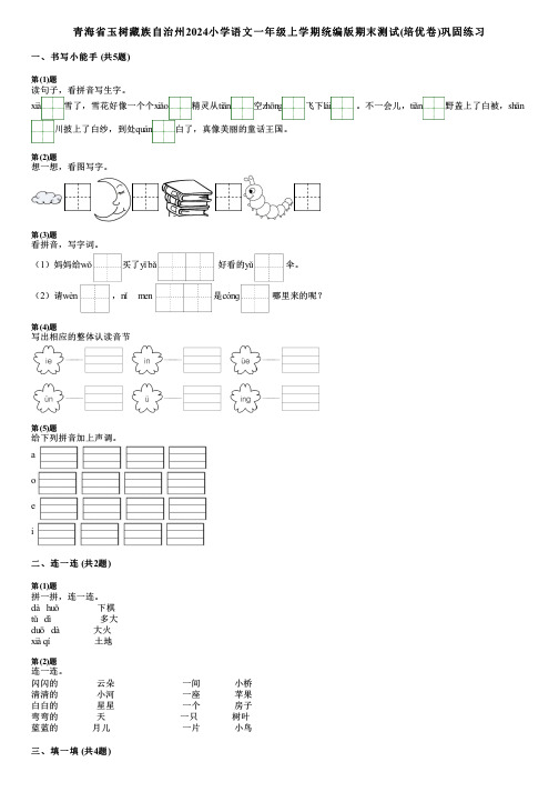 青海省玉树藏族自治州2024小学语文一年级上学期统编版期末测试(培优卷)巩固练习