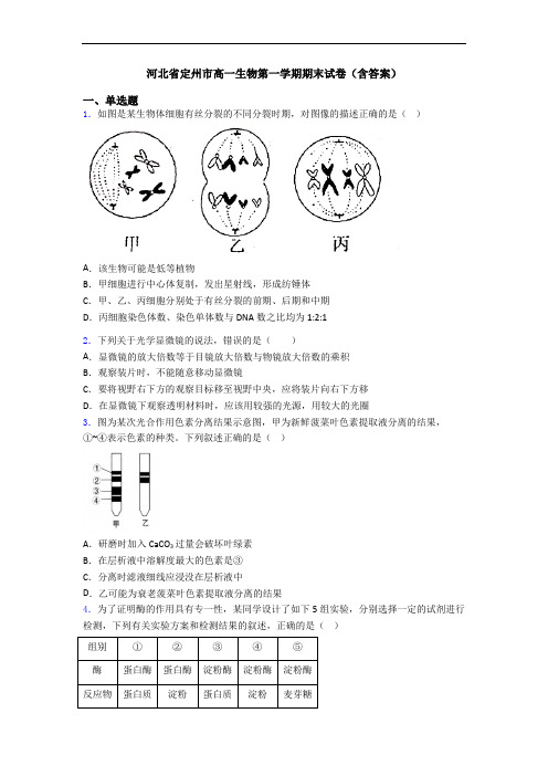 河北省定州市高一生物第一学期期末试卷(含答案)