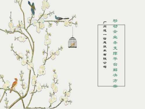 移动全业务运营商支撑平台解决方案