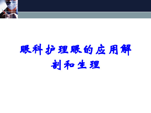 眼科护理眼的应用解剖和生理