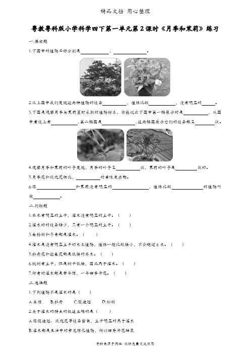 (新教材)粤教粤科版四年级下册科学 第2课 月季和茉莉 课时练(同步练习)