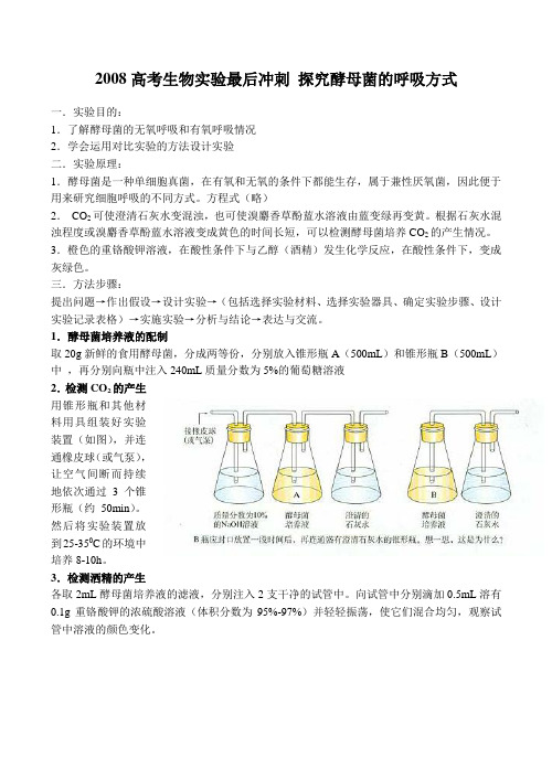 高考生物实验最后冲刺 探究酵母菌的呼吸方式