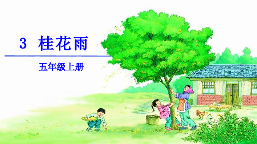 《桂花雨》公开课课件