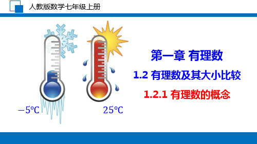 1.2.1 有理数的概念 课件 2024—2025学年人教版数学七年级上册