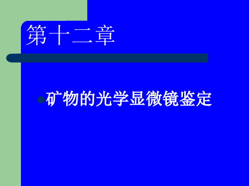 十二矿物的光学显微镜鉴定