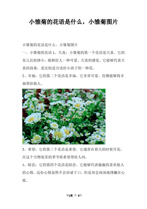 小雏菊的花语是什么,小雏菊图片