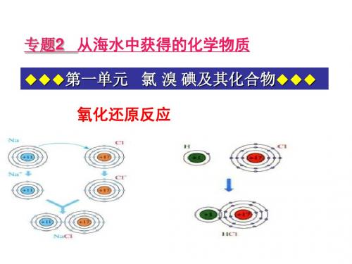 氧化还原反应教学设计(课件 教案 学案 习题 素材)(5份) 苏教版