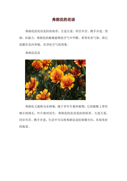 弗朗花的花语