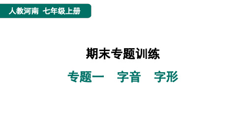 七年级语文上册专题一字音字形点训人教河南课件