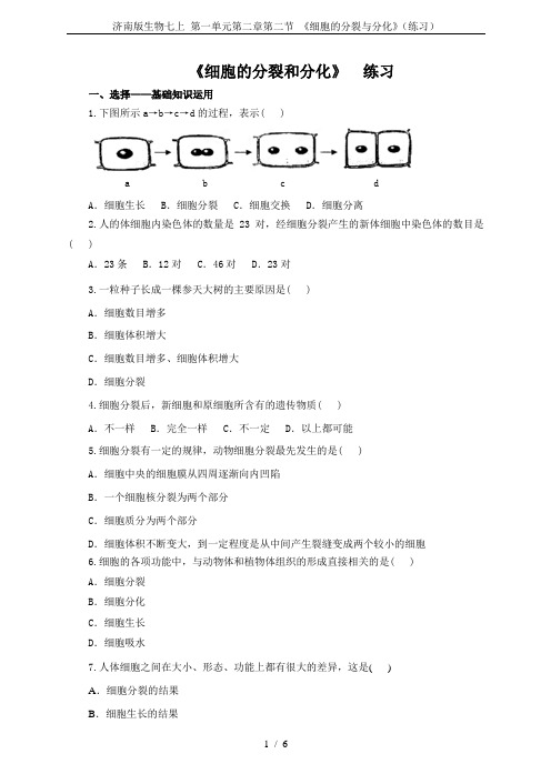 济南版生物七上 第一单元第二章第二节 《细胞的分裂与分化》(练习)