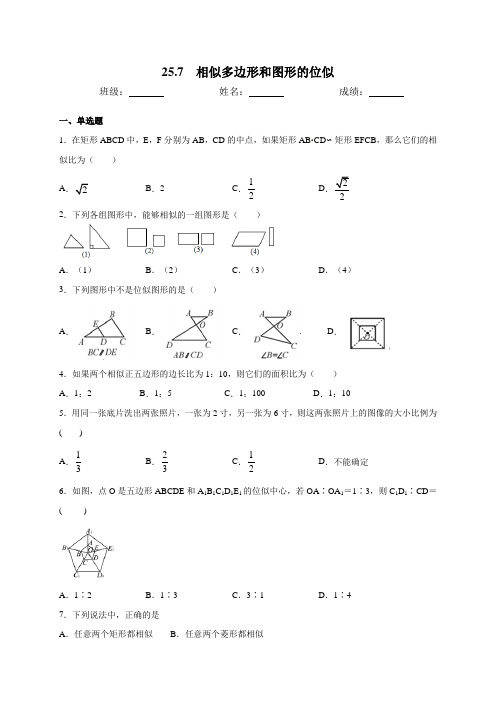 相似多边形和图形的位似 冀教版九年级数学上册同步测试(含答案)