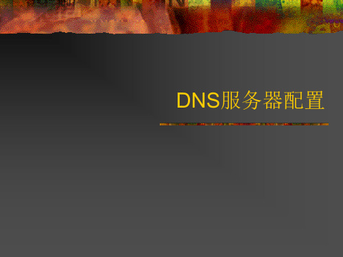 2、DNS服务器配置