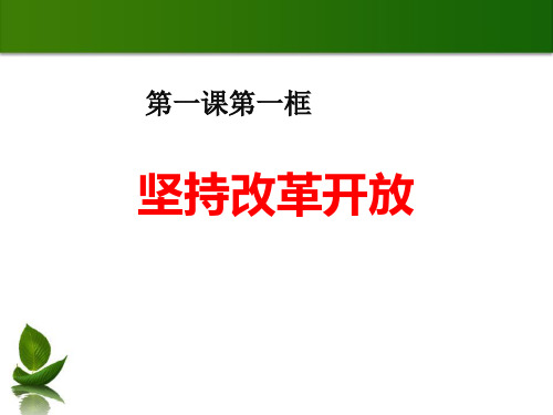 《坚持改革开放》踏上强国之路ppt课件