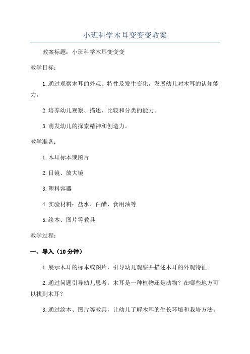 小班科学木耳变变变教案