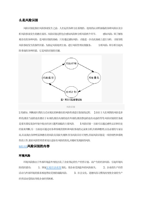 什么是风险识别