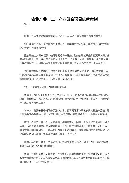 农业产业一二三产业融合项目优秀案例