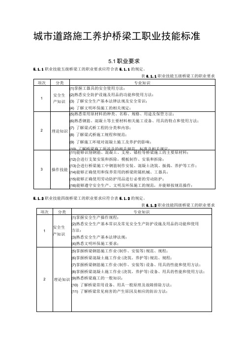 城市道路施工养护桥梁工职业技能标准