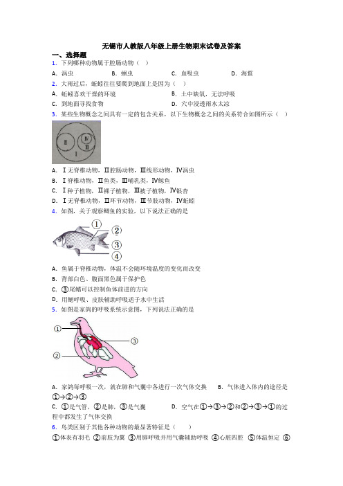 无锡市人教版八年级上册生物期末试卷及答案