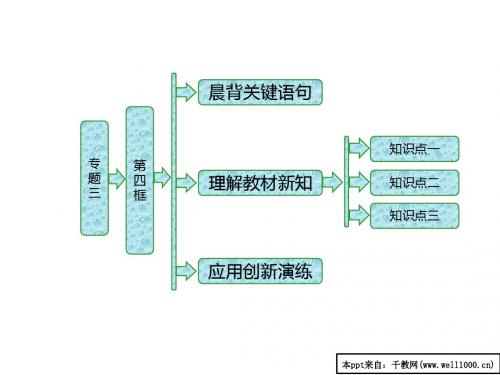 高中政治人教版高二选修3课件：专题三_第四框_美国的利益集团