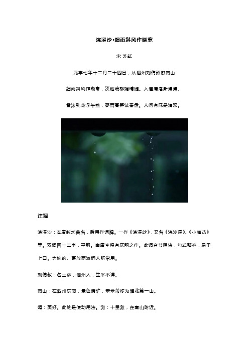 苏轼《浣溪沙 细雨斜风作晓寒》全诗翻译及赏析