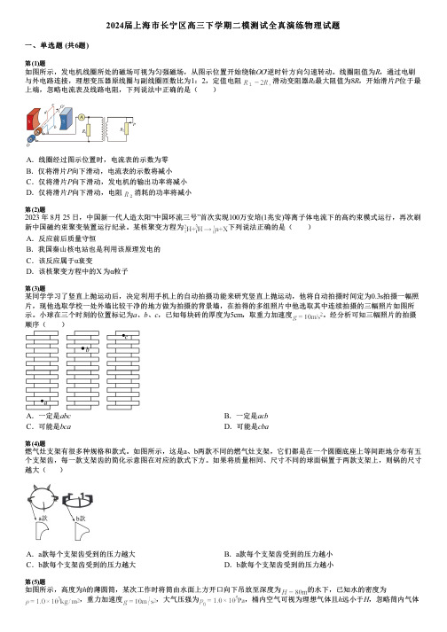 2024届上海市长宁区高三下学期二模测试全真演练物理试题