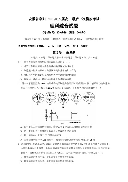 安徽省阜阳一中2013届高三最后一次模拟考试理综试题