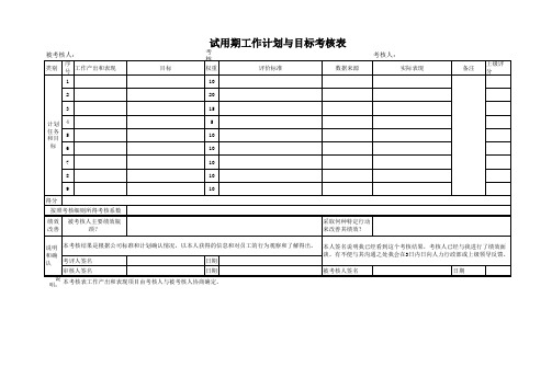 试用期工作计划与目标考核表