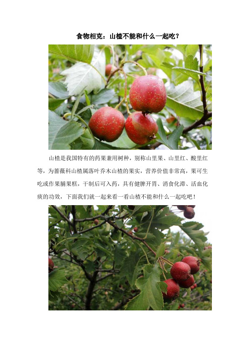 食物相克：山楂不能和什么一起吃？