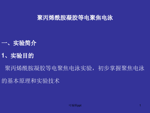 聚丙烯酰胺凝胶等电聚焦电泳