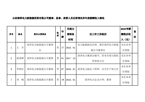 山西漳泽电力新能源投资有限公司董事、监事、高管人员任职