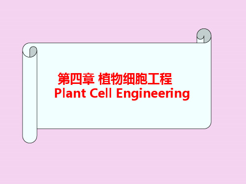 植物细胞工程(中国药科大学生物工程所有)ppt课件